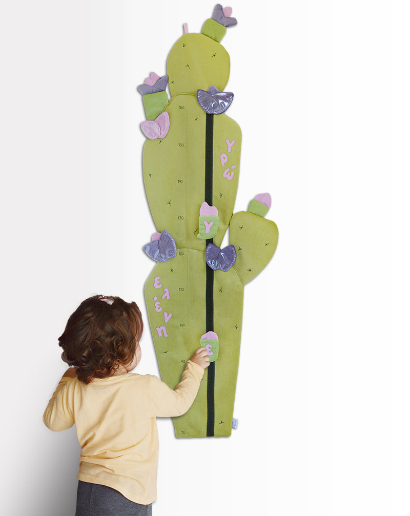 prickle cactus height chart thumb