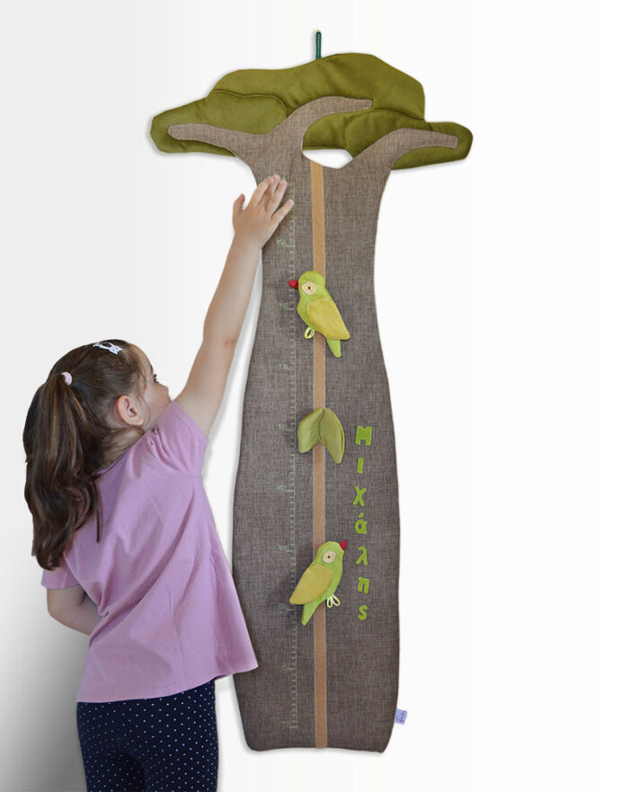 baobab tree height chart