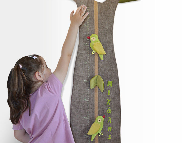 baobab tree height chart